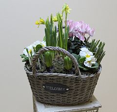 Корзина-сумка с первоцветами