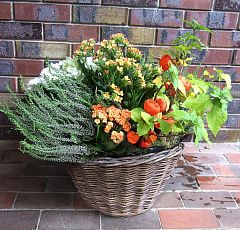 Яркие осенние корзинки из горшечных для вашего сада