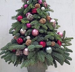 Настольная новогодняя елка из живых пихтовых лапок