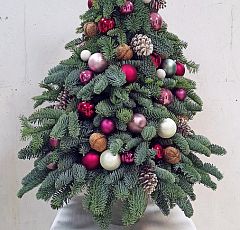 Настольная новогодняя елка из живых пихтовых лапок