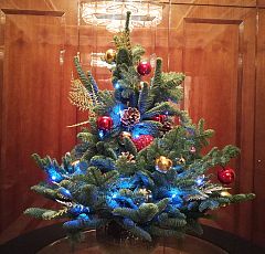 Стилизованная новогодняя елка из живой хвои в керамическом кашпо