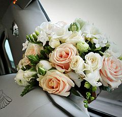Букет невесты бело-кремовый — Букет невесты из кремовых роз и белых ранункулюсов, фрезии и бувардии. Классическая круглая форма. Особенно актуален для невест с белокурыми и русыми волосами.