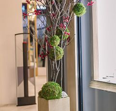 Флористическое оформление витрины ювелирного бутика Roberto Bravo