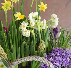 Винтажная корзинка с первоцветами на 8 марта
