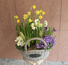 Винтажная корзинка с первоцветами на 8 марта
