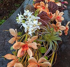 Настенный декор. Гирлянда из искусственных орхидей и тилландсий