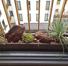 Озеленение квартиры. Французский балкон