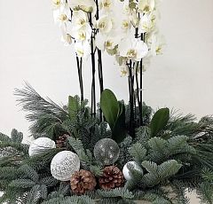 Большая новогодняя корзина с белыми орхидеями