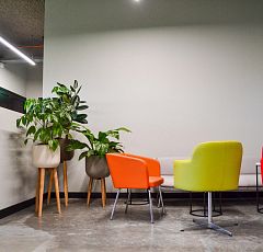 Озеленение современного офиса