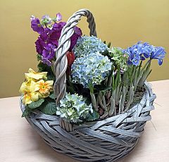 Большая весенняя корзина с голубой гортензией и первоцветами