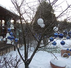  Новогоднее оформление  участка 2013 — Новогоднее украшение деревьев.
