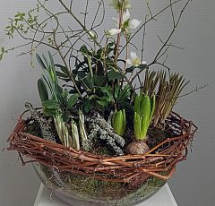Эксклюзивная композиция с первоцветами в стеклянной вазе