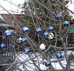  Новогоднее оформление  участка 2013 — Новогоднее украшение деревьев.