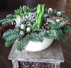  Новогодняя композиция с луковичными — Пихта Нобилис, гиацинты
