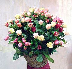  Большая корзина из разноцветных роз