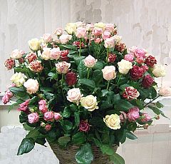  Большая корзина из разноцветных роз