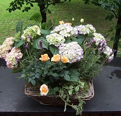 Июньская корзинка  с цветущей гортензией, лавандой, розой, мятой