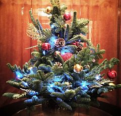 Стилизованная новогодняя елка из живой хвои в керамическом кашпо