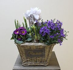 Корзинка с первоцветами на 8 марта