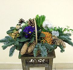  Новогодняя композиция с цветущей примулой и гиацинтами в лукошке — Примула, нертера, гиацинты