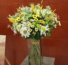 Полевые цветы и колосья. Оформление презентации в офисе компании Эфес