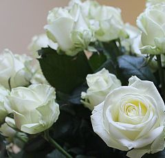 Корзина прекрасных белых роз