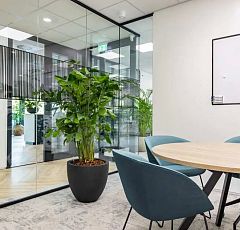 Озеленение современного офиса
