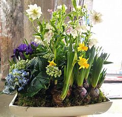 Композиция из весенних цветов в керамической вазе