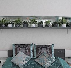 Озеленение. Комнатные цветы для спальни