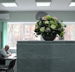 Оформление офиса композициями из горшечных растений и искусственными цветами